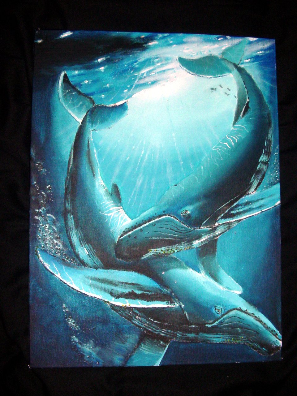 dsc01914_edited.jpg